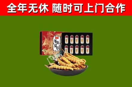 洪洞县回收冬虫夏草价格